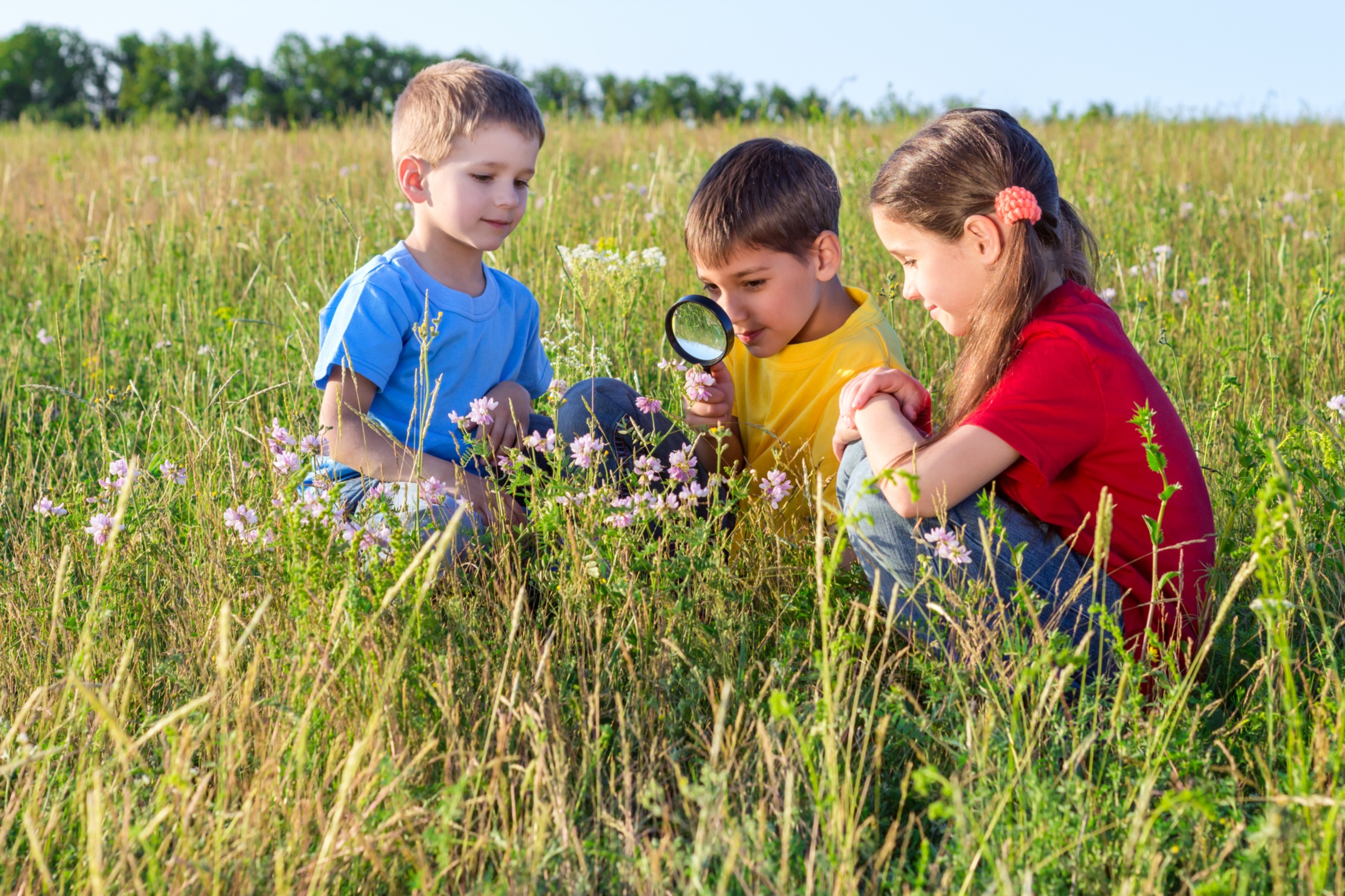 Drei Kinder sitzen auf einer Wiese und betrachten Blumen mit einer Lupe.